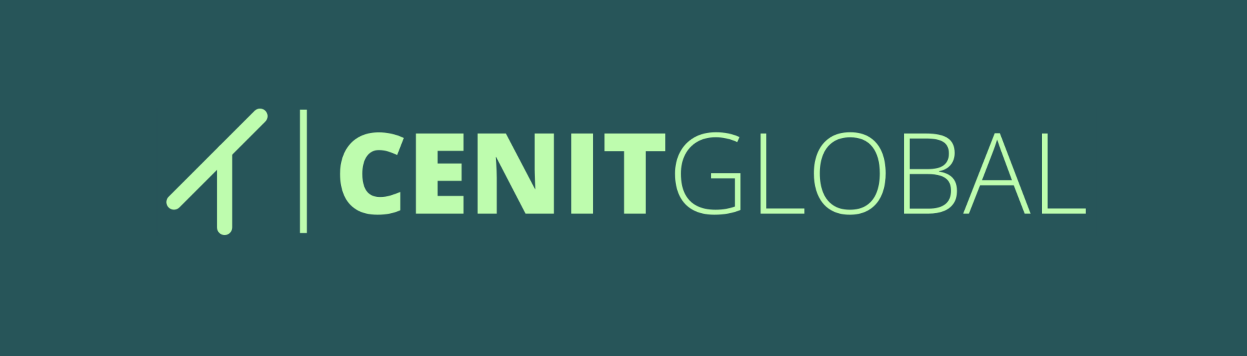 Cenit Global S.A. 
